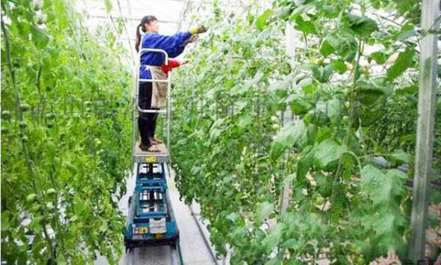 自行升降平臺 自行升降機(jī)